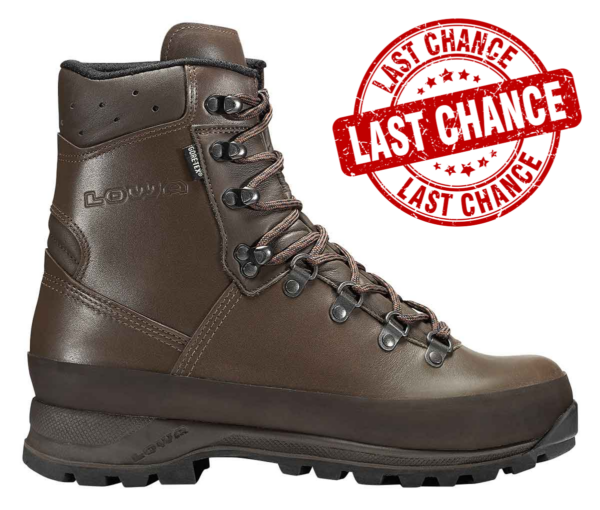 LOWA MOUNTAIN BOOT GTX® Ws TF