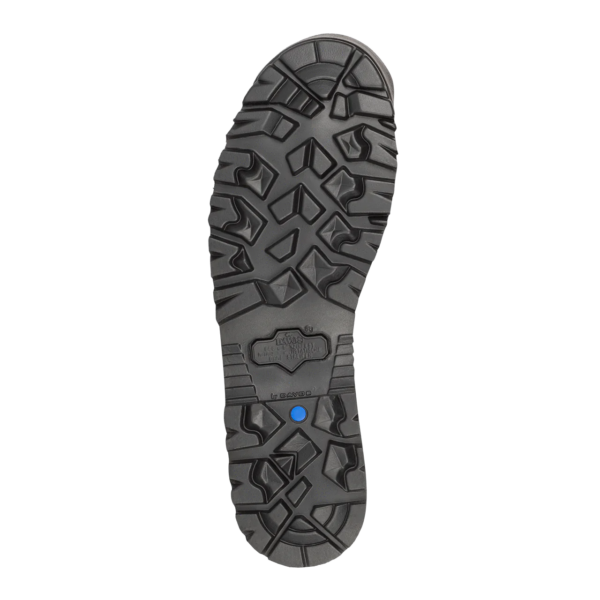 AKU Griffon Combat GTX Vibram Sole Millbrook Tactical LEAF Program Canada